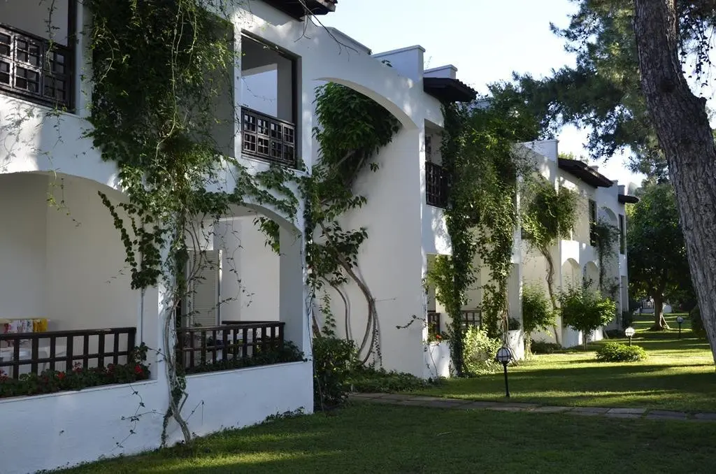 Emelda Sun Club — EMELDA SUN CLUB