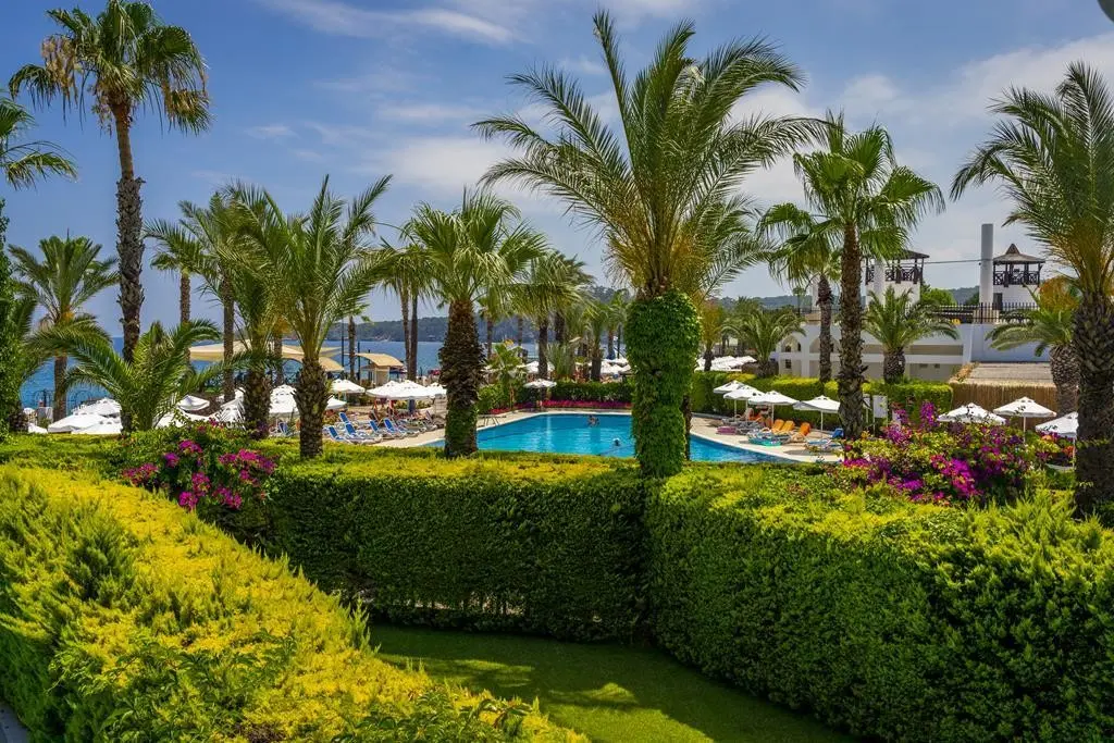 Emelda Sun Club — EMELDA SUN CLUB