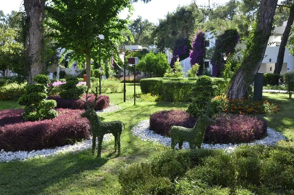 Emelda Sun Club — EMELDA SUN CLUB