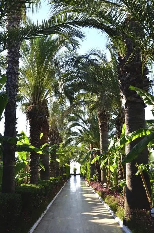 Emelda Sun Club — EMELDA SUN CLUB