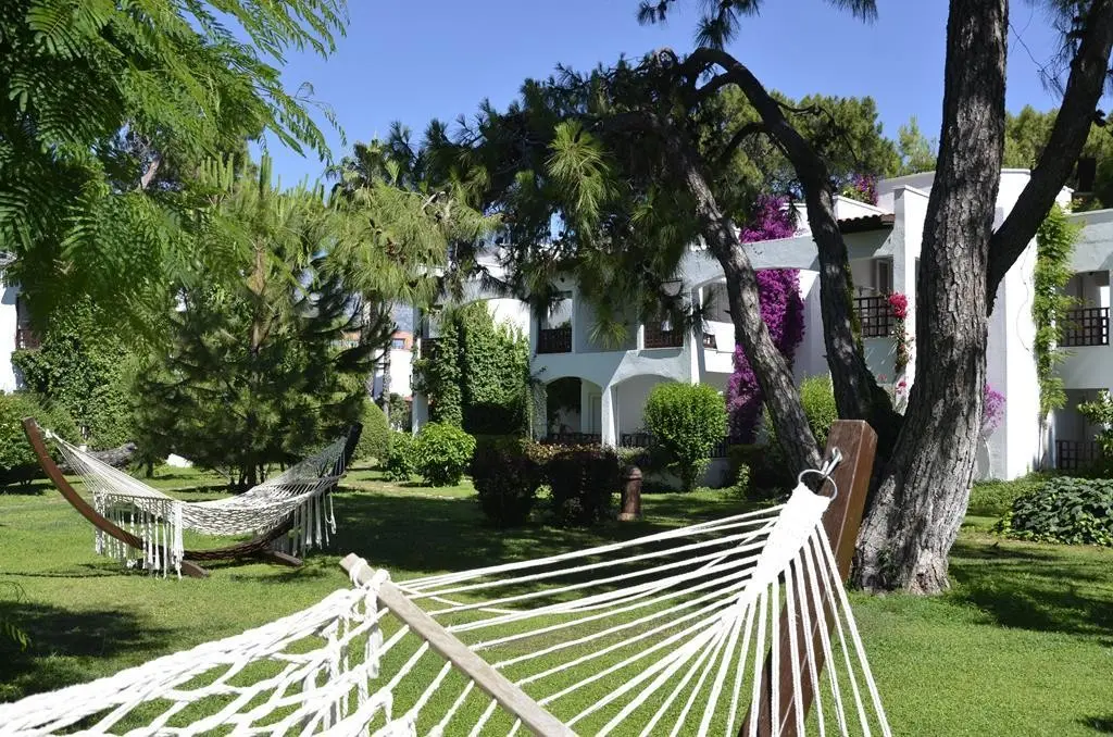 Emelda Sun Club — EMELDA SUN CLUB