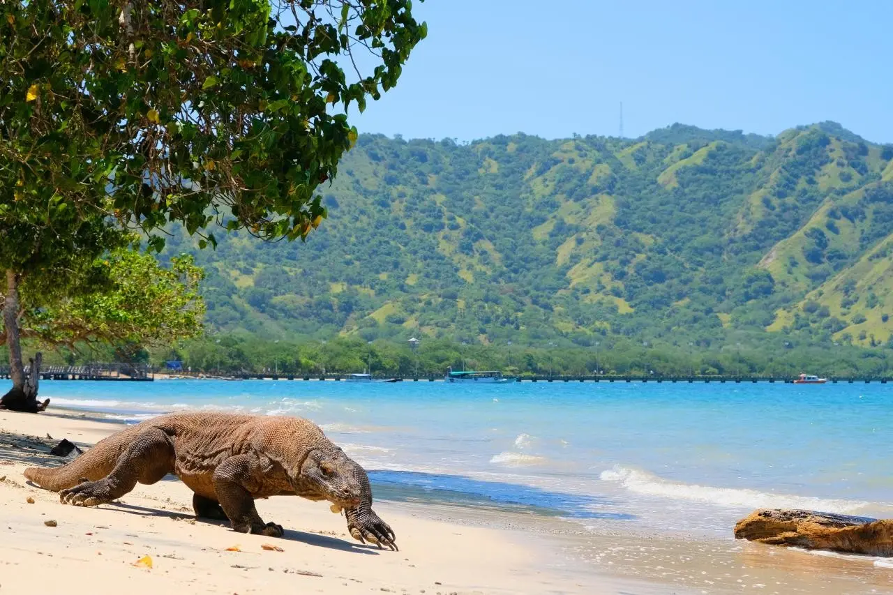 EXIMdiscovery – Bali: Duchy wyspy; świątynie i tropikalny relaks (Deluxe) — gallery