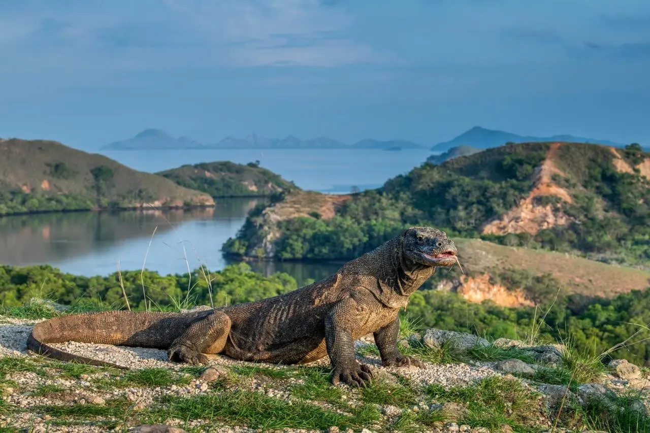 EXIMdiscovery – Bali: Duchy wyspy; świątynie i tropikalny relaks (Deluxe) — gallery