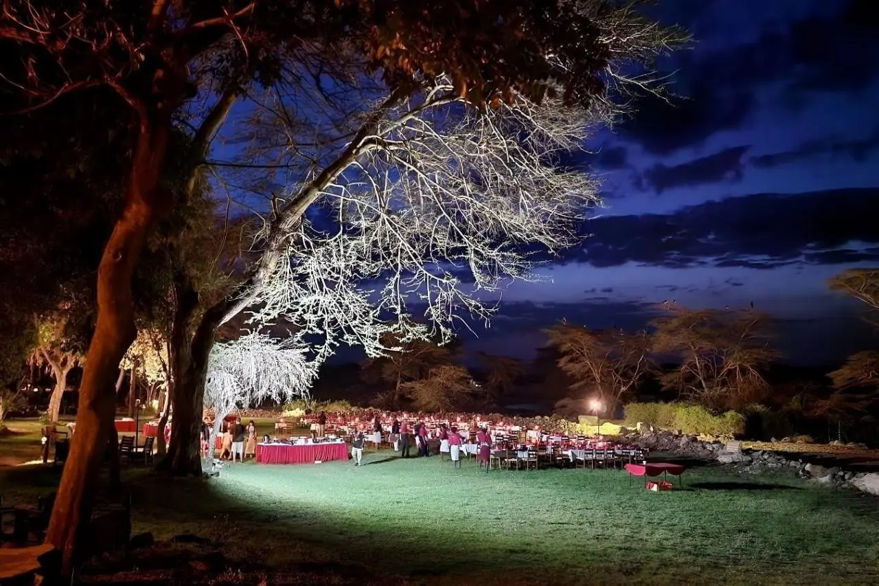 EXIMdiscovery - Czerwona Ziemia i Mgły Kilimandżaro — gallery