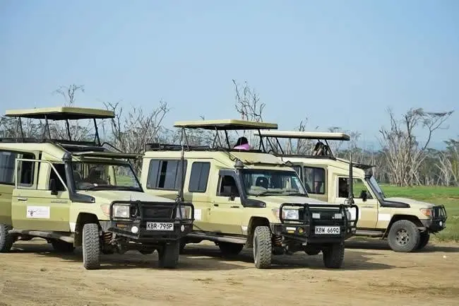 EXIMdiscovery - Czerwona Ziemia i Mgły Kilimandżaro — gallery