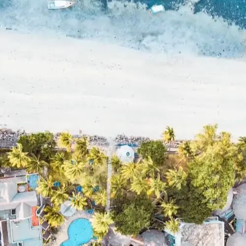 EXIMdiscovery - Czerwona Ziemia i Mgły Kilimandżaro — gallery