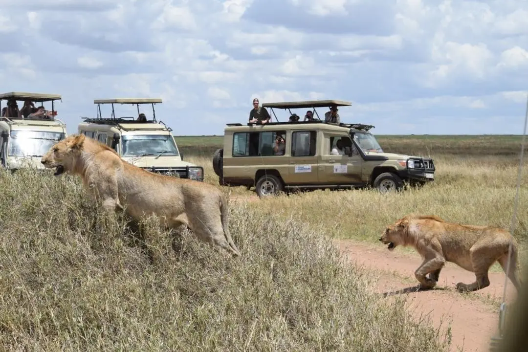 EXIMdiscovery - Czerwona Ziemia i Mgły Kilimandżaro — gallery