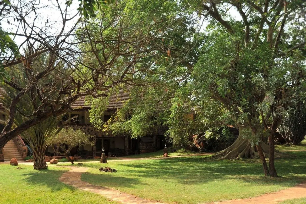 EXIMdiscovery - Czerwona Ziemia i Mgły Kilimandżaro — gallery