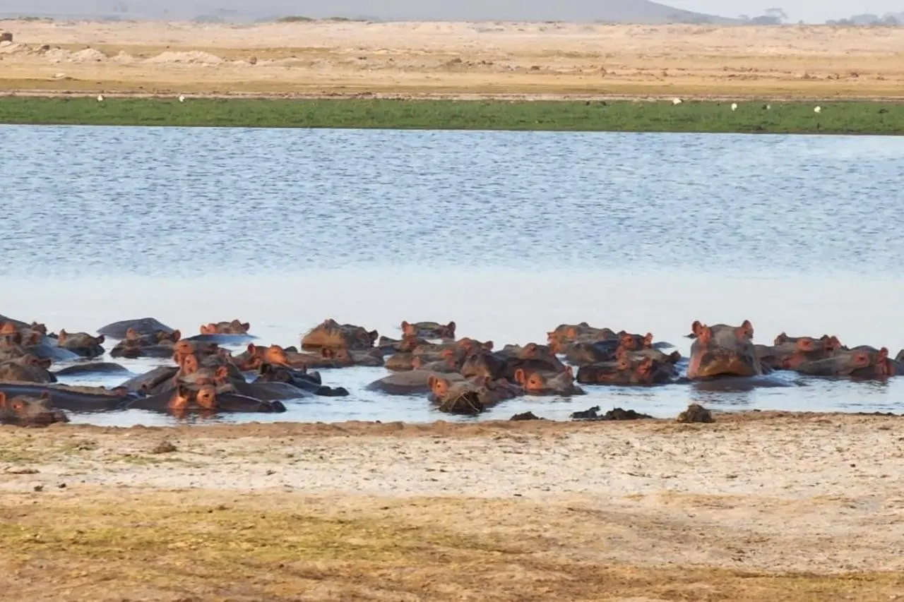 EXIMdiscovery - Czerwona Ziemia i Mgły Kilimandżaro — gallery