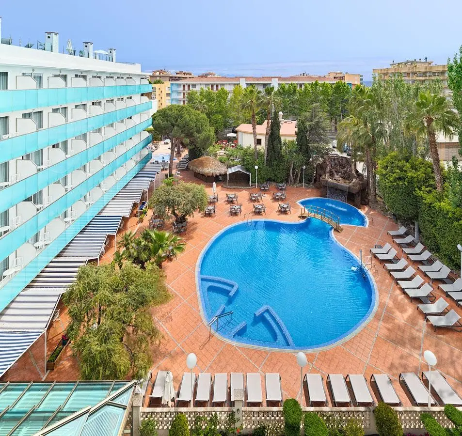 H10 Delfin Adults Only — H10 DELFIN ADULTS ONLY