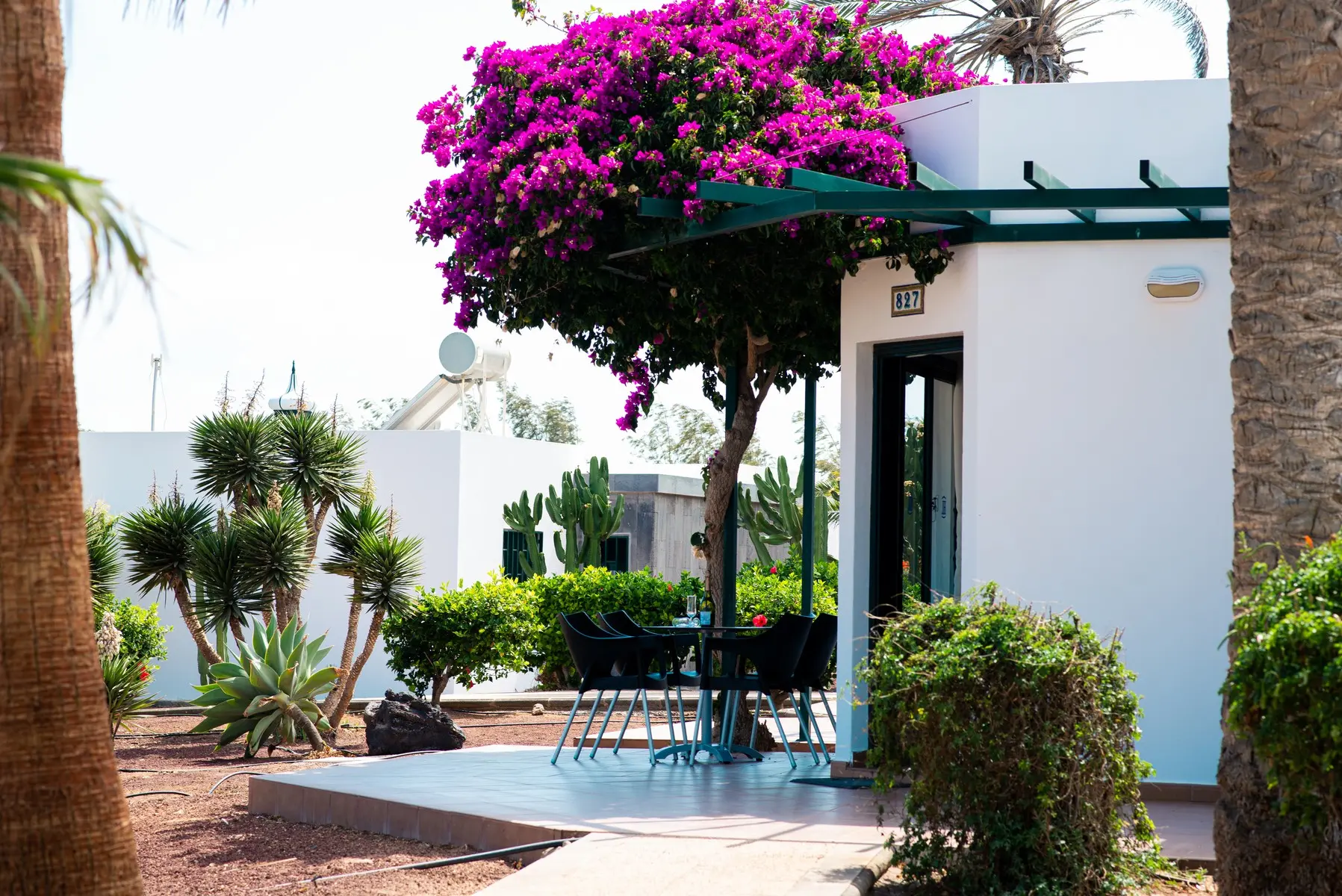 Hl Club Playa Blanca — HL CLUB PLAYA BLANCA