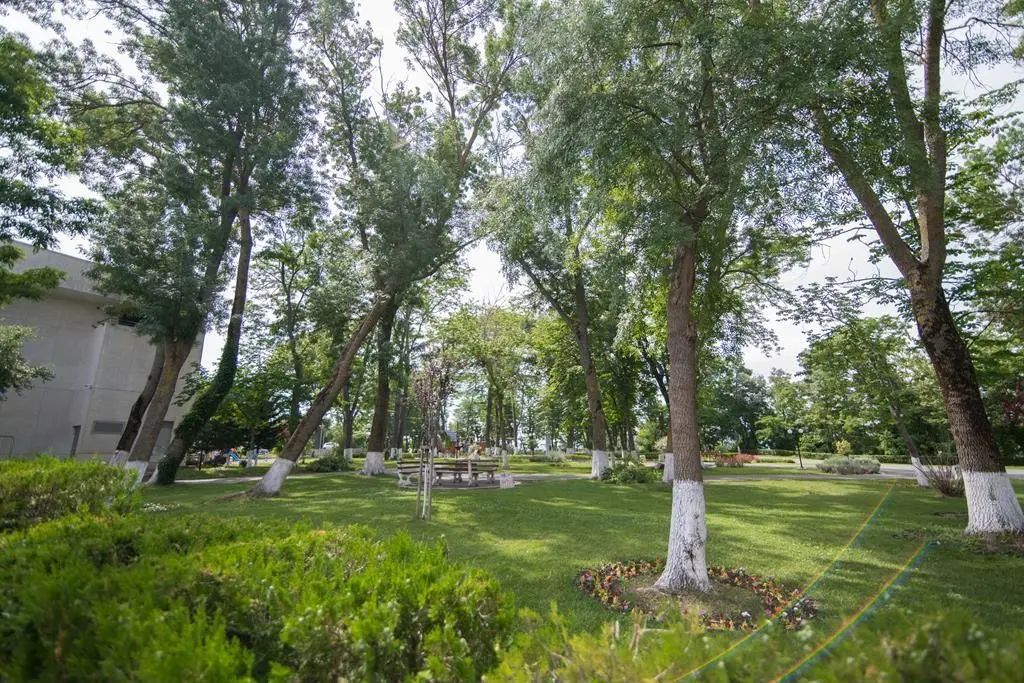 Hotel Cinema — CINEMA