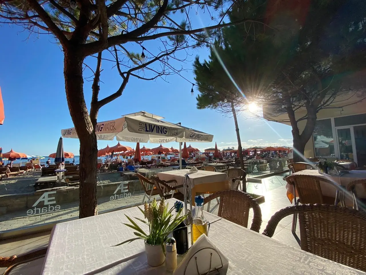 Hotel Edart — HOTEL EDART