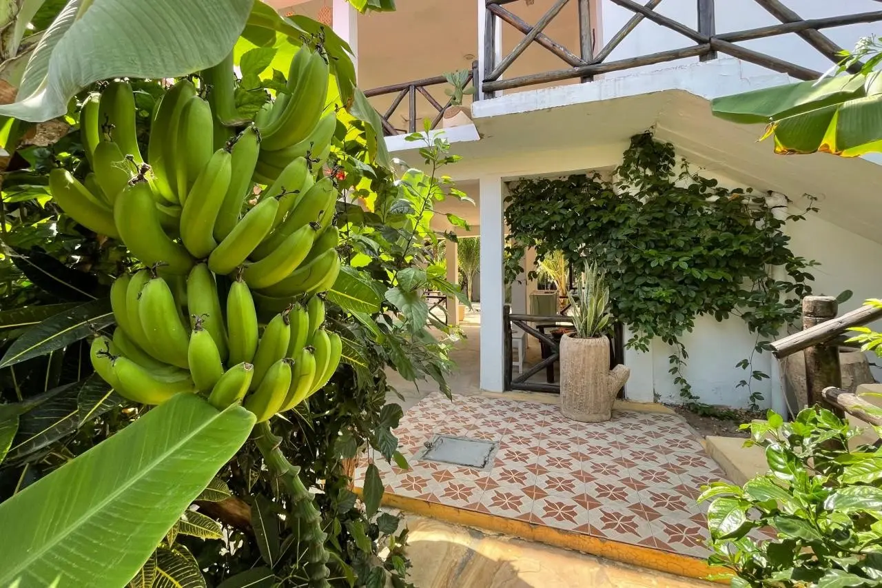 Max Hotel Nungwi — MAX HOTEL NUNGWI