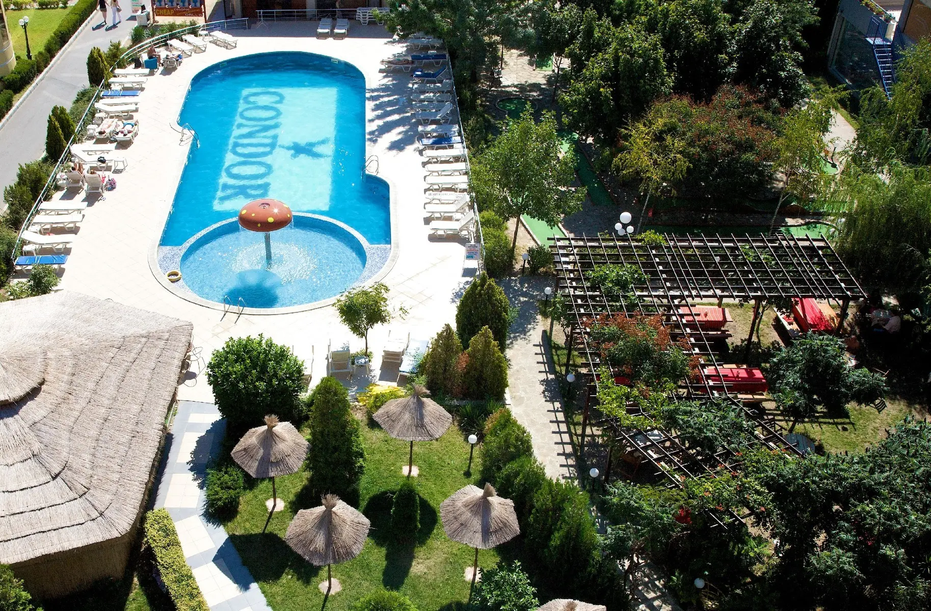 Mpm Condor — MPM CONDOR