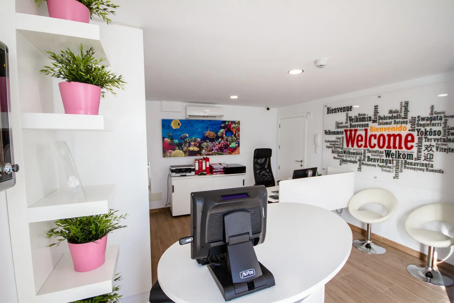 Nachosol Premium By Servatur — NACHOSOL PREMIUM BY SERVATUR