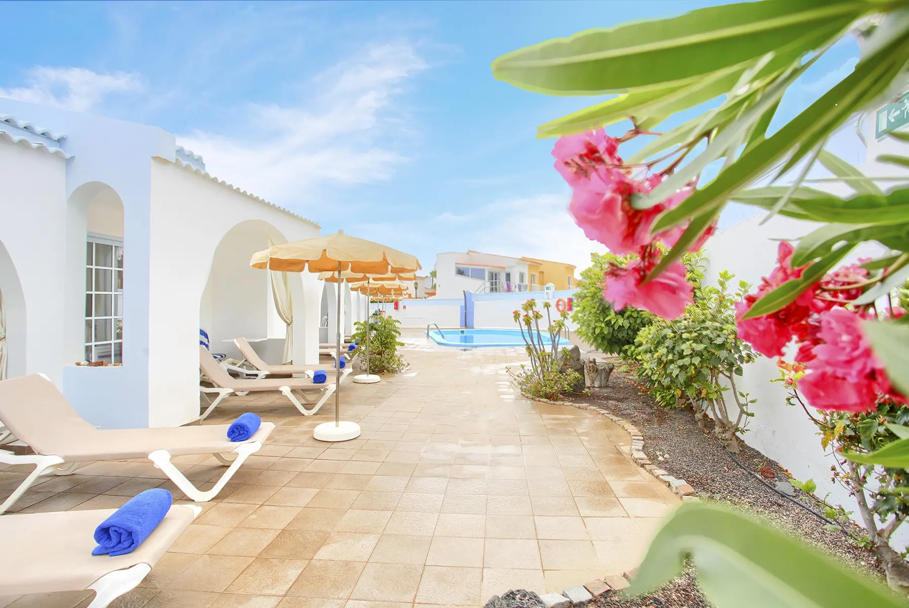 Neptuno Bungalows — NEPTUNO BUNGALOWS