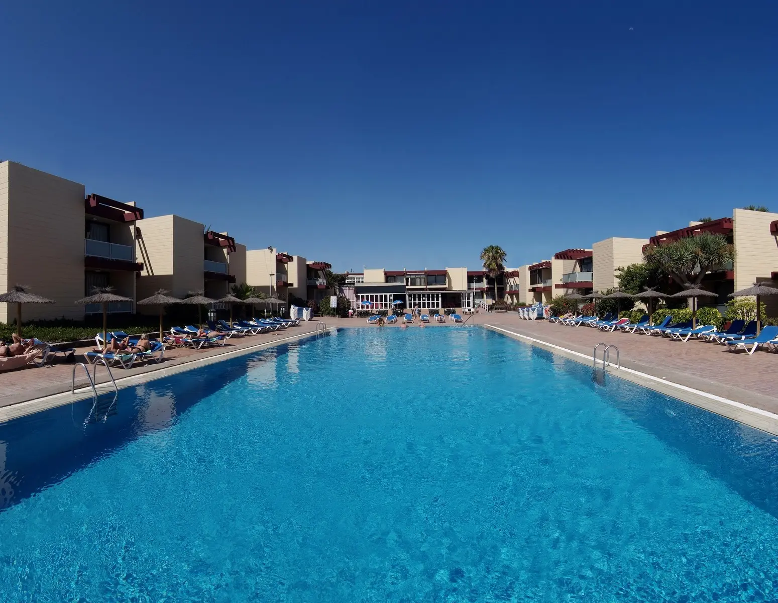 Palia Don Pedro — PALIA DON PEDRO