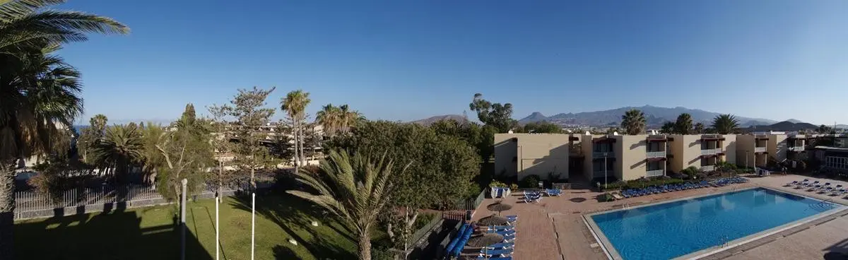 Palia Don Pedro — PALIA DON PEDRO