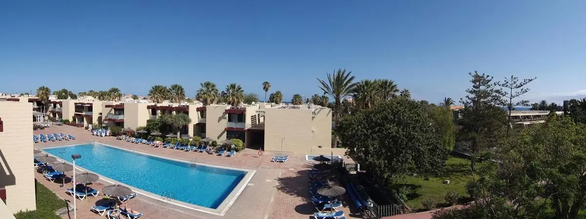 Palia Don Pedro — PALIA DON PEDRO