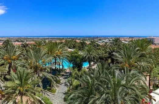 Palm Oasis Maspalomas — PALM OASIS MASPALOMAS