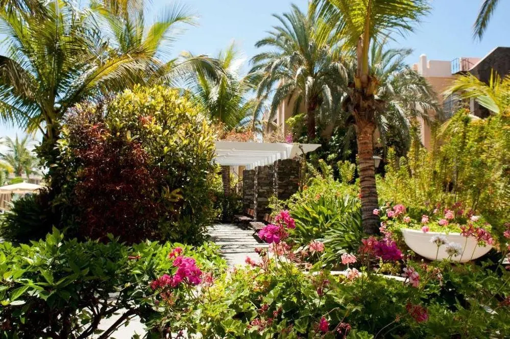 Palm Oasis Maspalomas — PALM OASIS MASPALOMAS