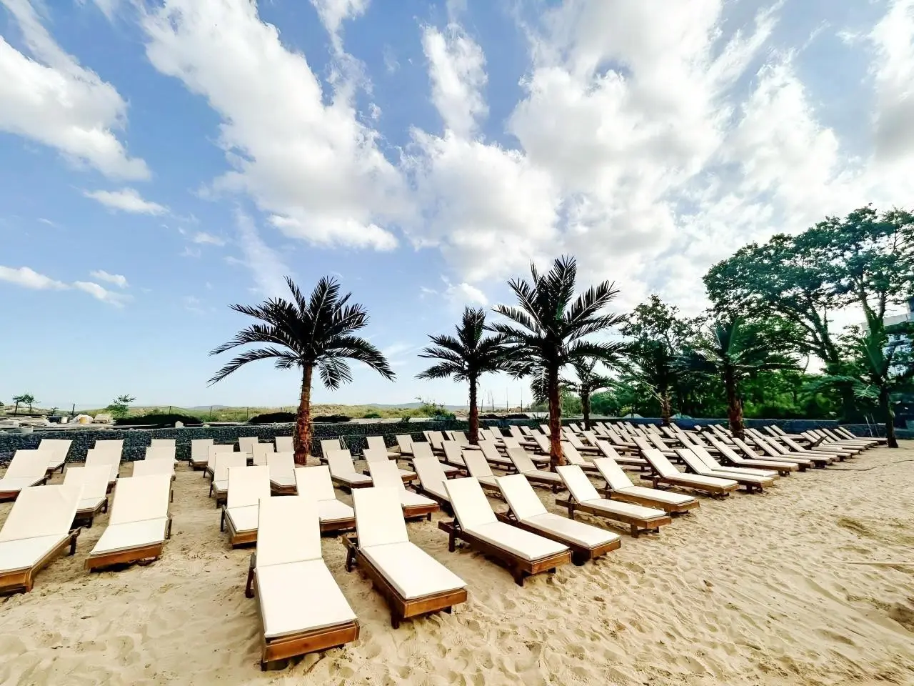 Palms Beach — PALMS BEACH