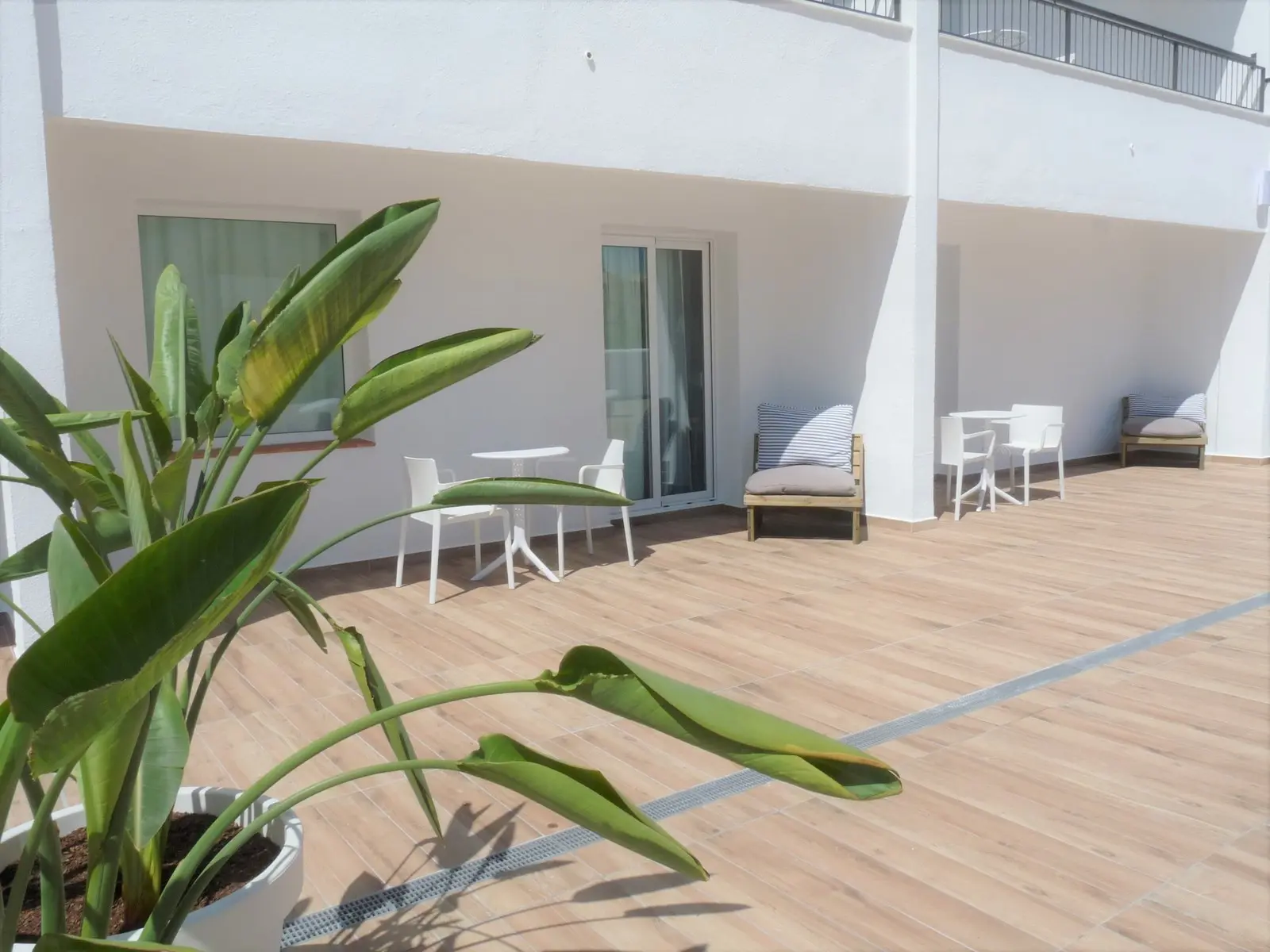 Pineda Splash — PINEDA SPLASH