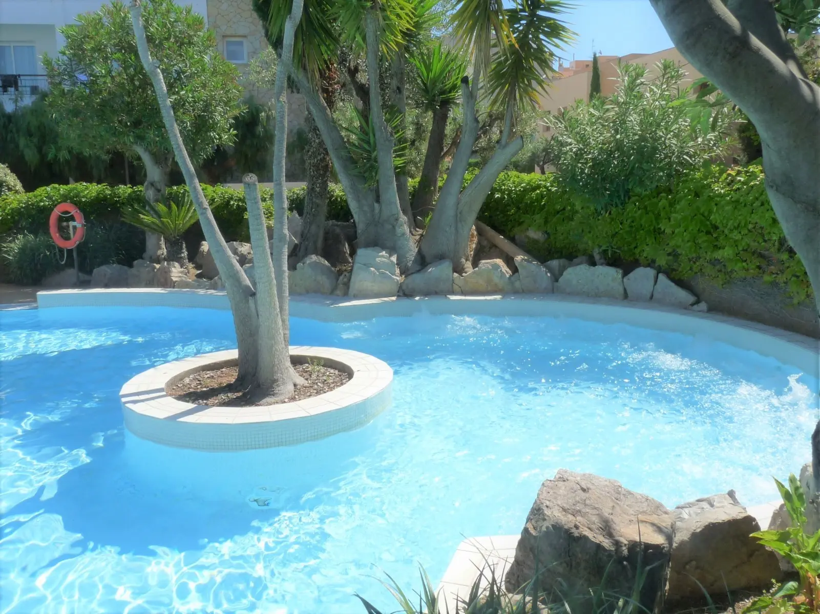 Pineda Splash — PINEDA SPLASH