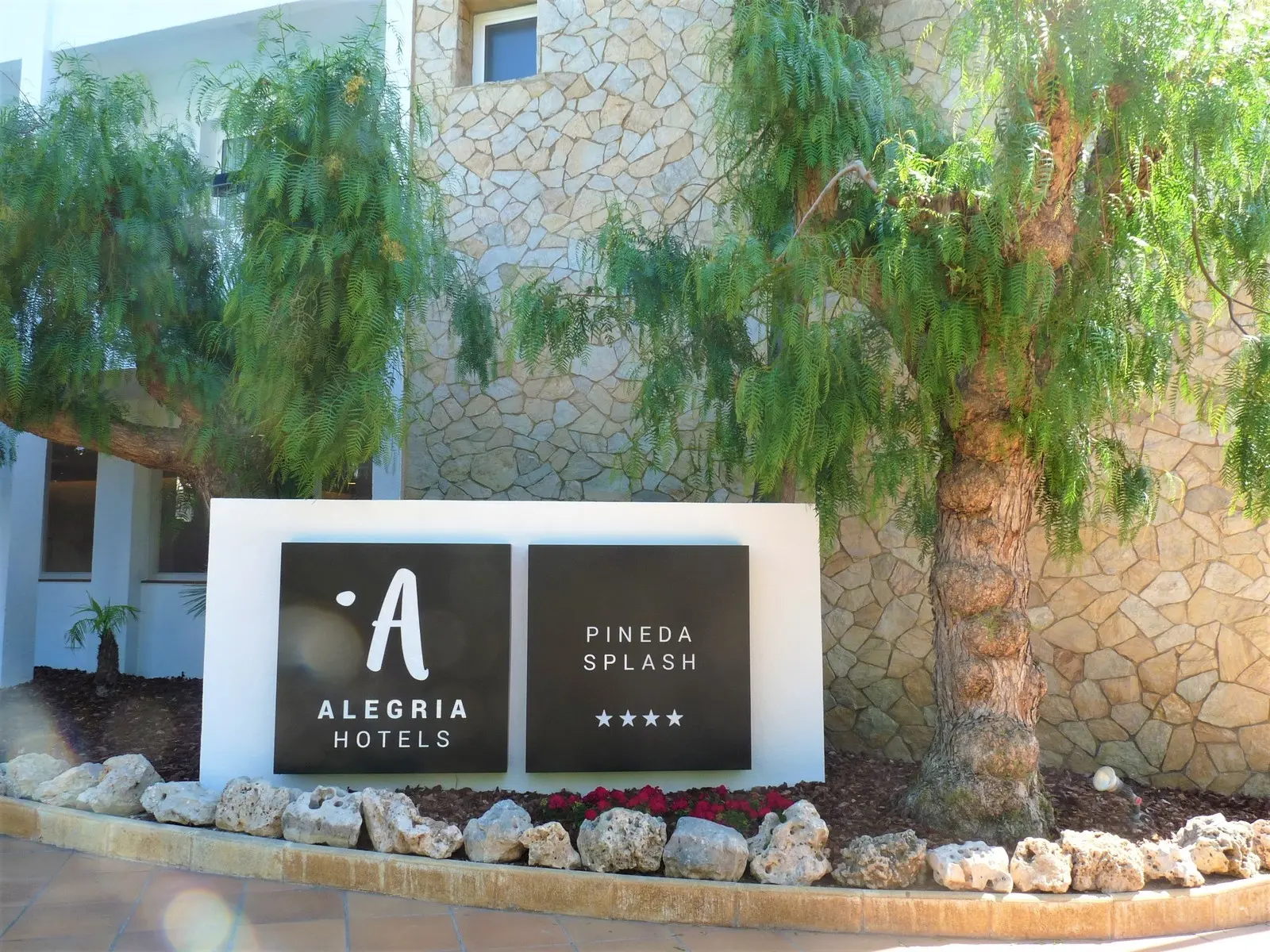 Pineda Splash — PINEDA SPLASH