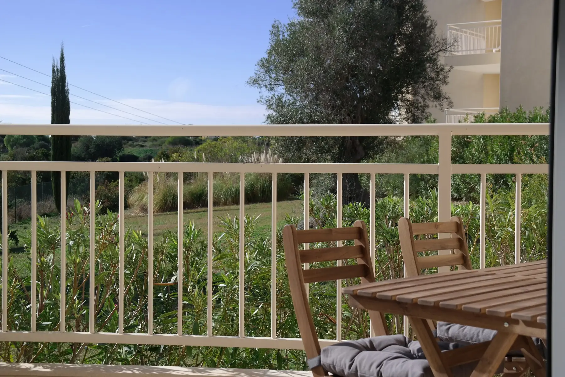 Placid Village — PLACID VILLAGE