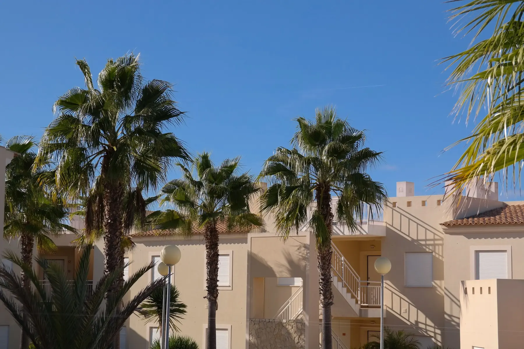 Placid Village — PLACID VILLAGE