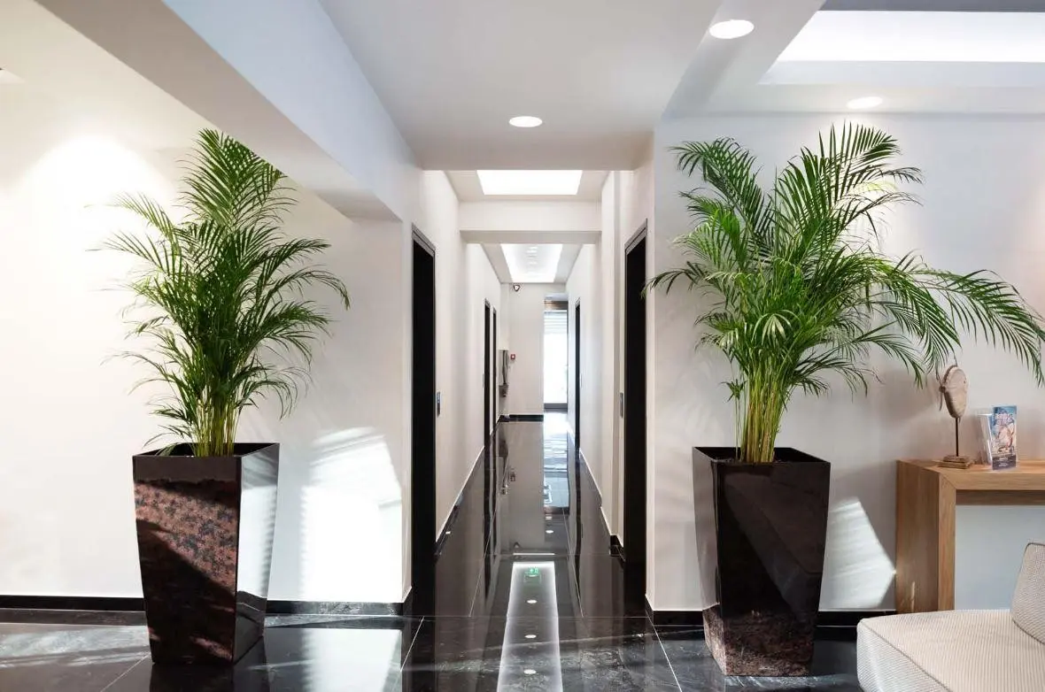 Sea Level — SEA LEVEL