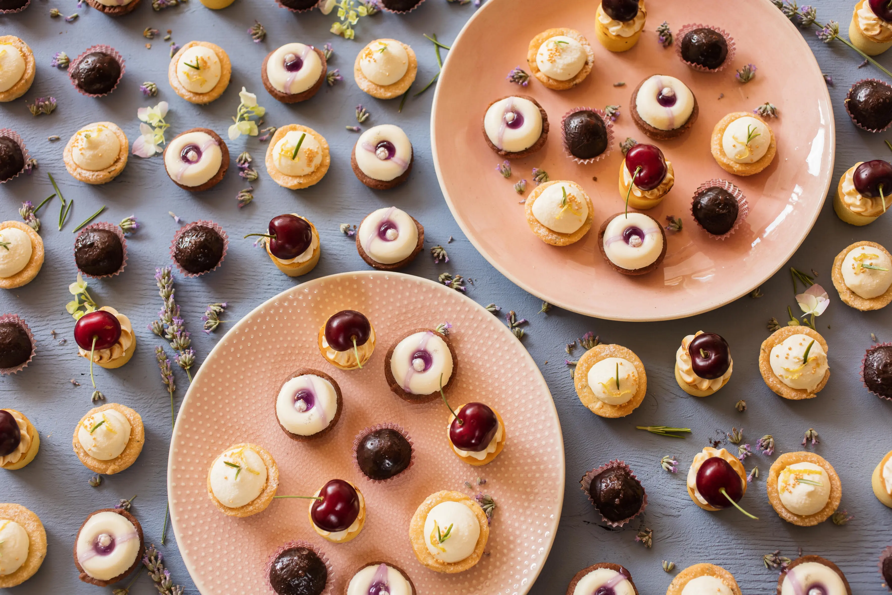 Slovenija -Terme & Wellness — SLOVENIJA -TERME & WELLNESS