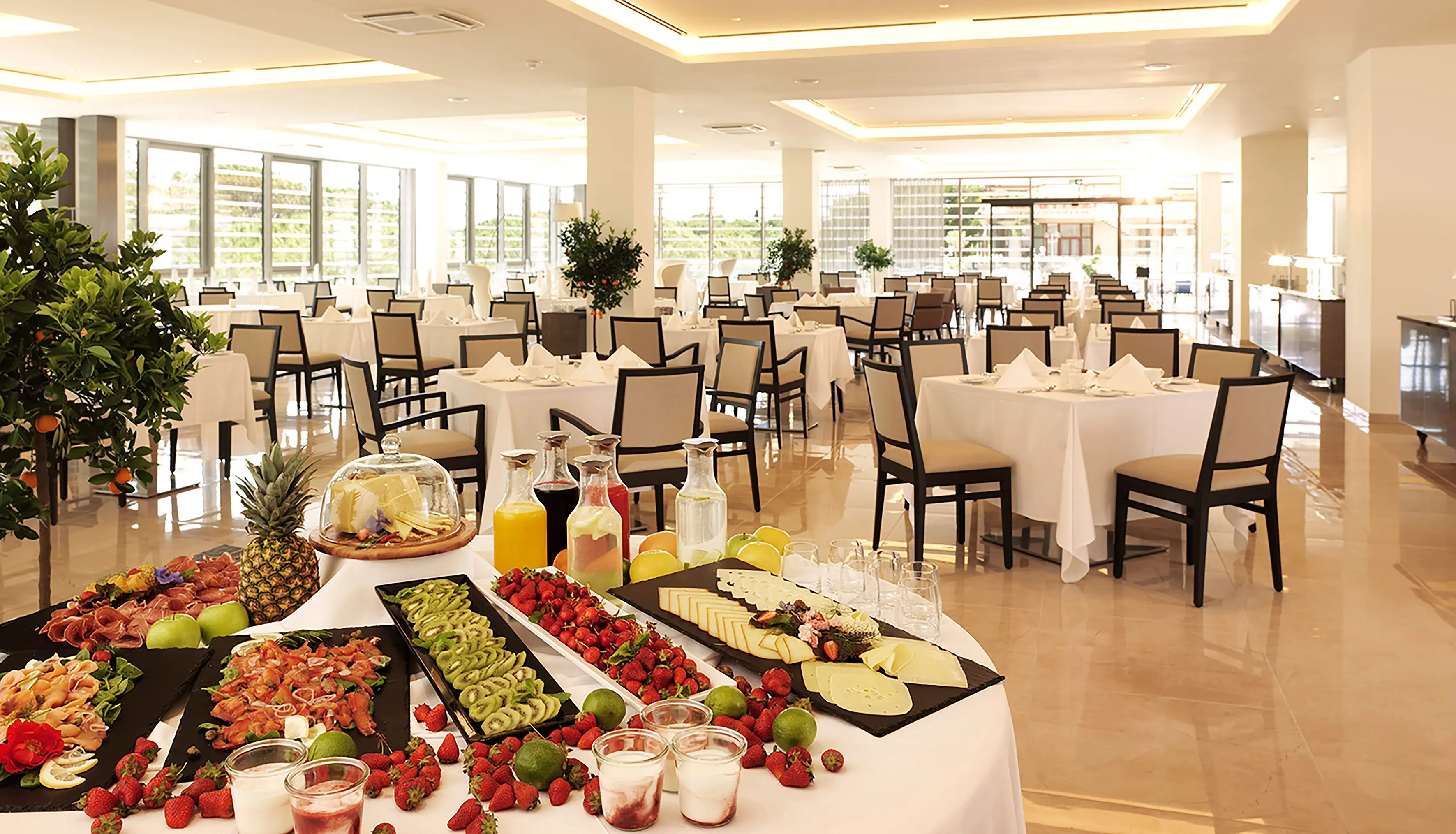 Slovenija -Terme & Wellness — SLOVENIJA -TERME & WELLNESS