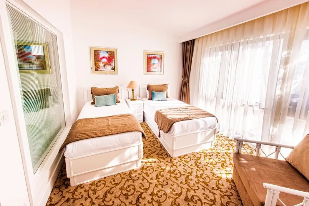 The Olive Tree — THE OLIVE TREE