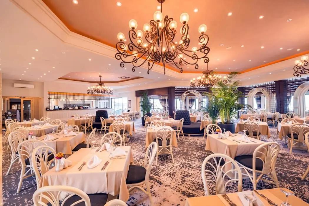 The Olive Tree — THE OLIVE TREE