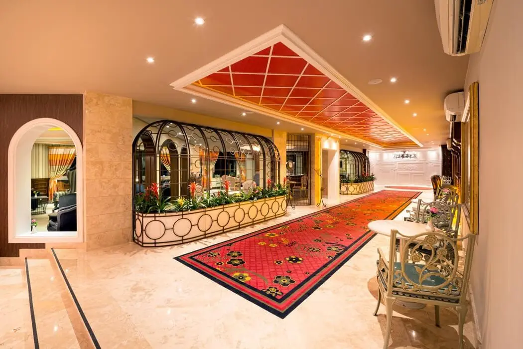 The Olive Tree — THE OLIVE TREE