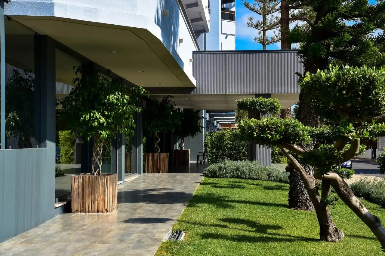 The Prime Energize — THE PRIME ENERGIZE