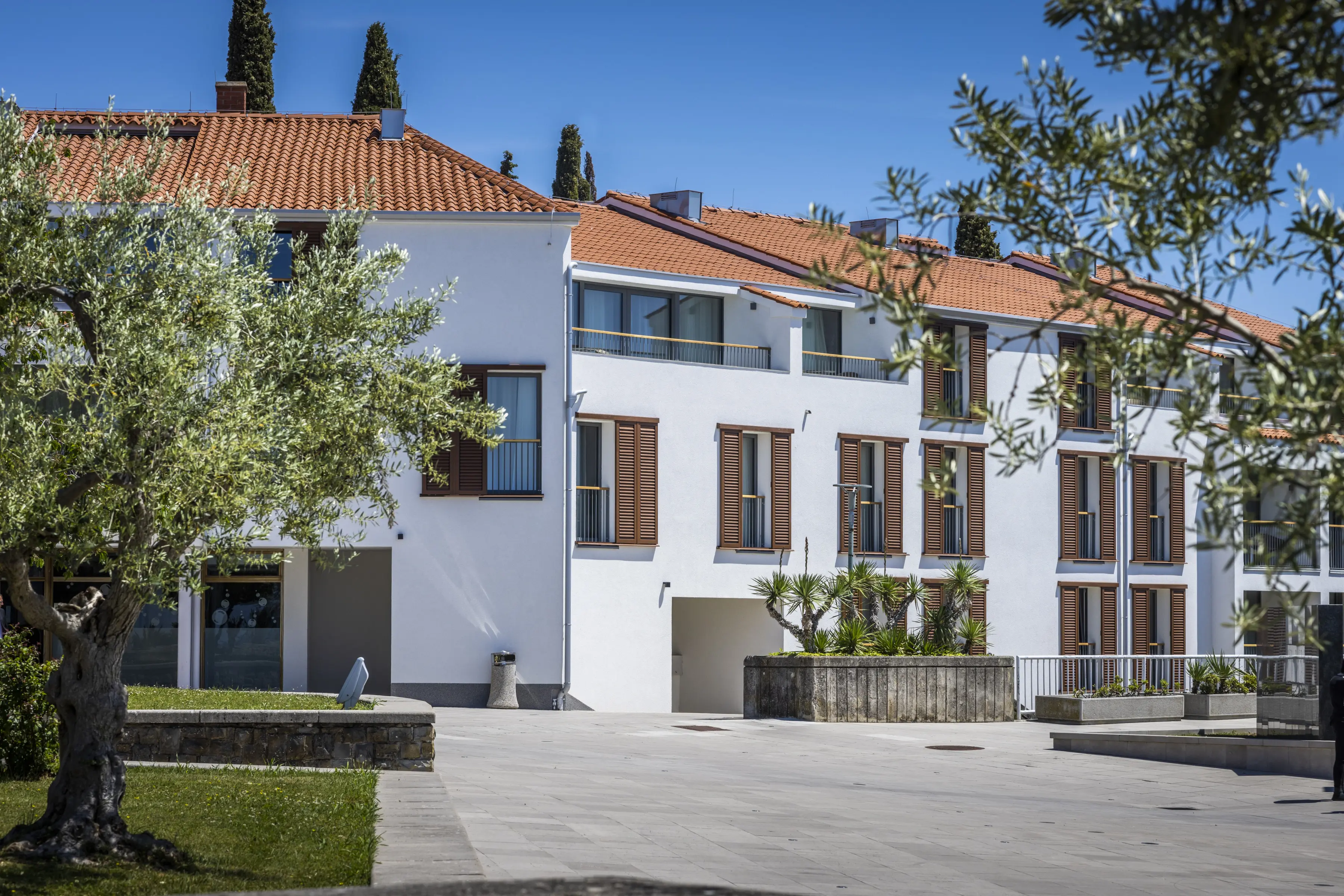 Vile Park — VILE PARK