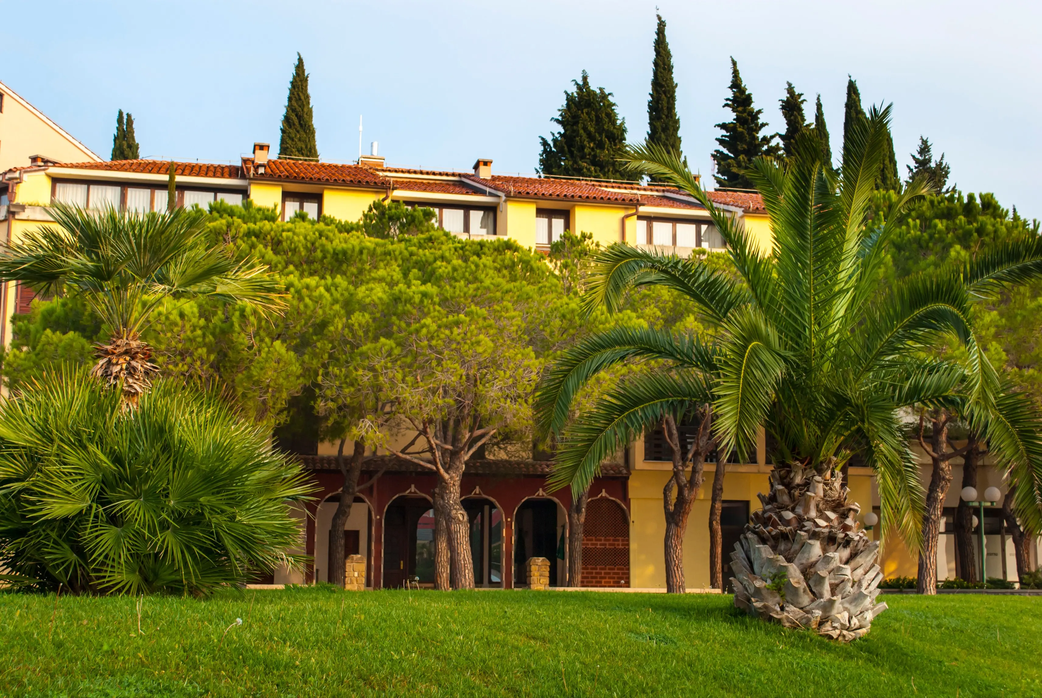 Vile Park — VILE PARK