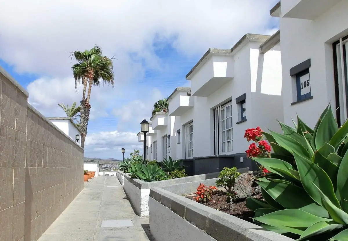 Vista Oasis — VISTA OASIS