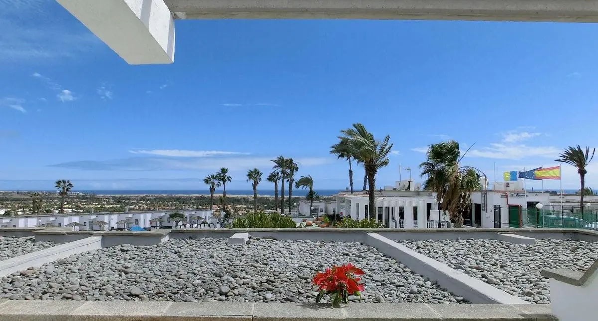 Vista Oasis — VISTA OASIS