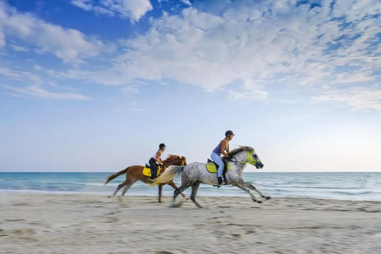 Plaża przy hotelu Aldiana Club Djerba Atlantide