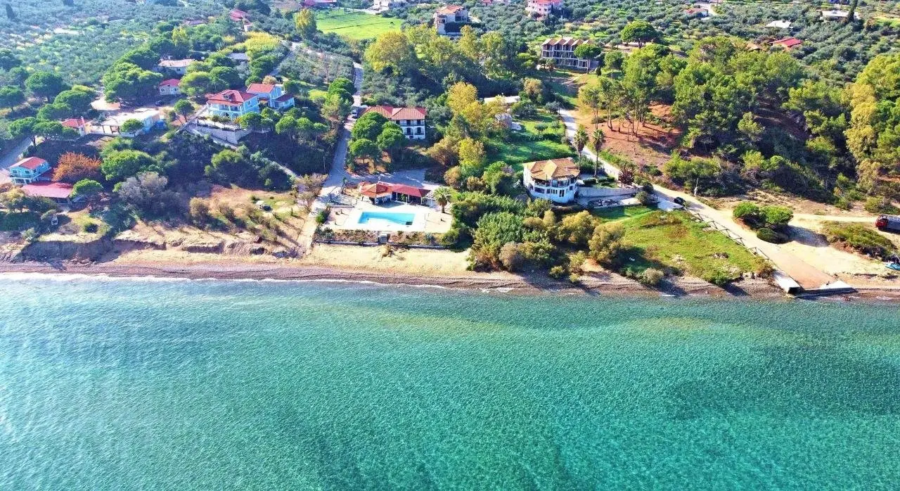 Widok z hotelu Arion Sea Front Apartments