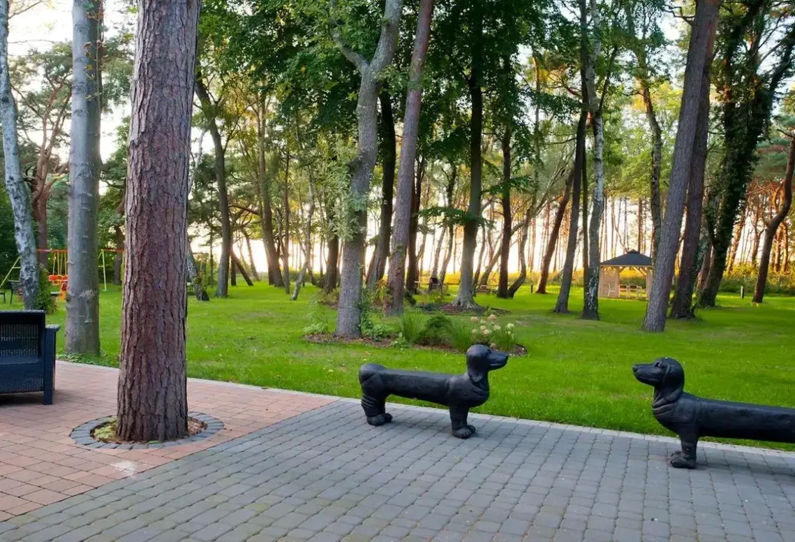 Atrakcje dla dzieci w hotelu Borgata