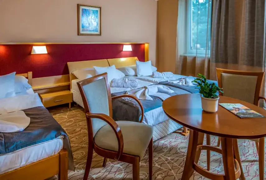 Pokój w hotelu Drava Thermal Resort