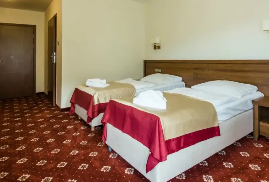 Pokój w hotelu Dziki Potok
