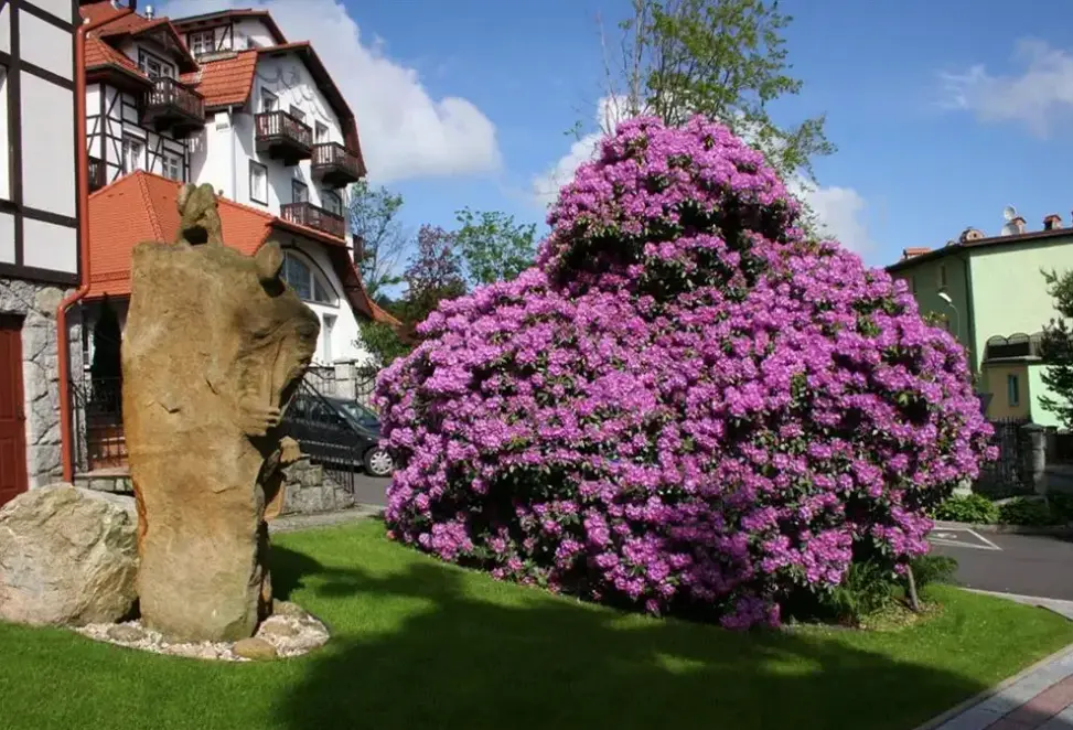 Atrakcje dla dzieci w hotelu Park Kur & SPA Buczyński