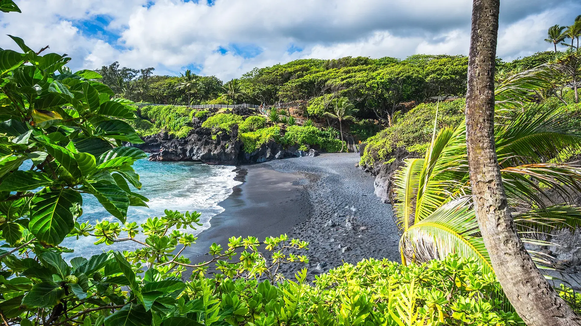 Wycieczka Aloha Hawaii!
